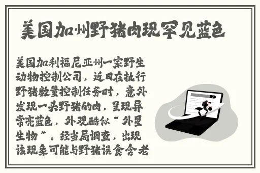 好男人的社区在线
