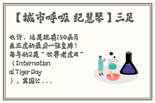 校霸坐在学霸的鸡上