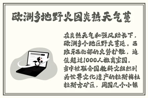打扑克剧烈摇床